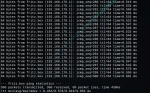 ping_linux.png