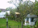 IMG00006.jpg