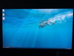 IMG_0392.JPEG