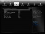 MSI_SnapShot1_02.jpg