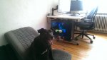 IMAG0578.jpg