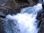 IMG_1639.jpg
