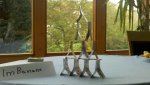 2011-09-05_18-49-19_146.jpg
