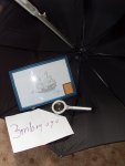 SL381235.jpg
