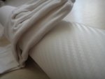 DSC01567.jpg