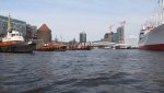 IMG_1968.jpg
