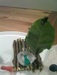 17092011286.jpg