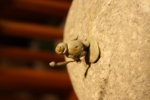IMG_0194.JPG