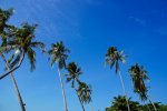 DSC02201-2.jpg