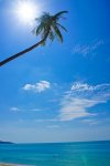 DSC02210-2.jpg