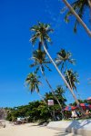 DSC02214-2.jpg
