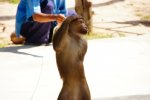 DSC02352-2.jpg