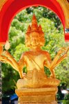DSC02414-2.jpg
