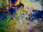 WP_000056.jpg