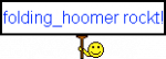 folding_hoomer.png