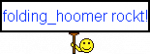 folding_hoomer.png
