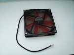 k-DSC01056.JPG
