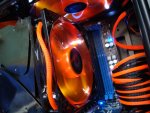 k-DSC01138.JPG