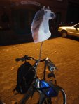 DSC02671.jpg