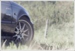 IMG_7191_CP.jpg