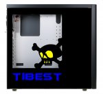 tibestcasewindow2.jpg