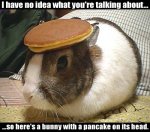 Pancake-bunnyfirst.jpg
