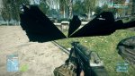 bf3 2010-01-03 14-38-53-93.jpg