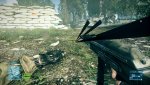 bf3 2010-01-03 14-39-30-87.jpg