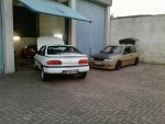 P1905_03-10-11.JPG
