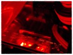 100_0220.JPG