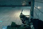 BF3_Bug_002.PNG