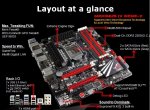 layout_am4_gene-zf7rz.jpg