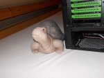 DSCN1286.JPG