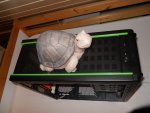 DSCN1287.JPG