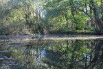 DSC_7447.jpg