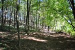 DSC_7429.jpg