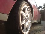 DSC07682.JPG