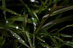 _DSC5555.jpg