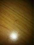 image-2531083889.png
