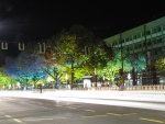 IMG_2844.jpg
