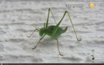 FlyDesk.jpg