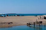 IMG_8239.jpg