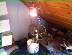 IMG_1201001PCGH.jpg