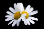IMG_4270.jpg
