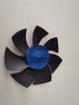 IMG_20200710_104610.jpg