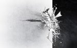 blackandwhiteabstract-392659.jpeg