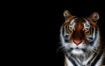 1305562502-tiger-fractal-fractals-wild-cat-cats-animal-wallpaper-wallpaper.jpg