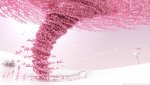 hundreds_of_small_pink_rabbits-wallpaper-1920x1080.jpg