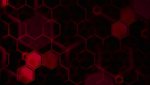 Poly-Tri-deep-red-electro.jpg