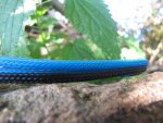 IMG_2925.jpg